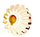 Pieza del minilab de Noritsu # A036430/A036430-01 proveedor