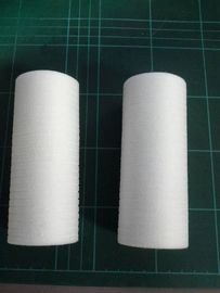 Filtro químico A124855/A124855G del minilab de Noritsu proveedor